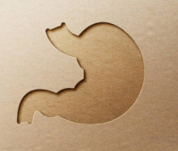 LFB tālākizglītības konference 13.03.2026. Rīgā?v=1771966813